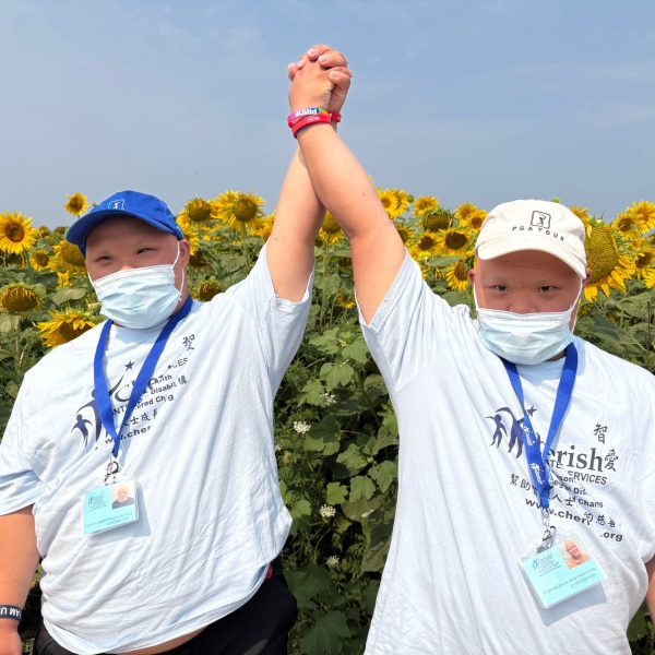 Sunflower Fields Outing